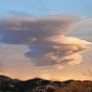 Meet your Posher, Max